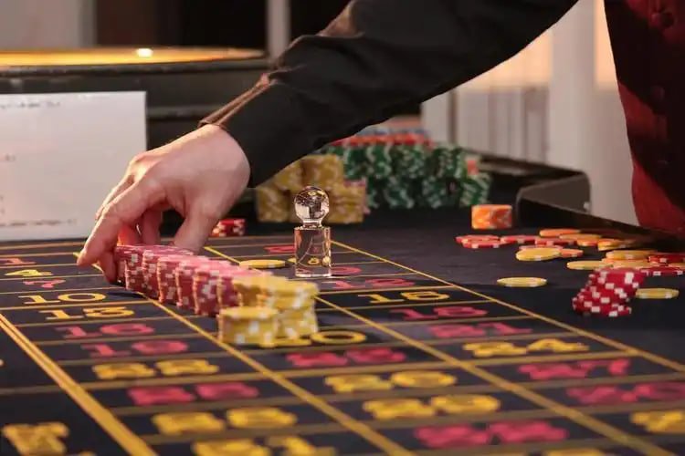 555bet cassino